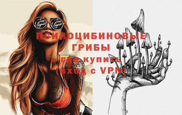 круглые Коряжма