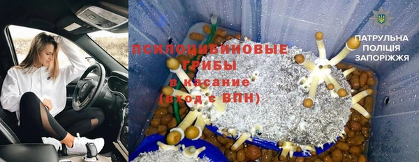 экстази Осташков