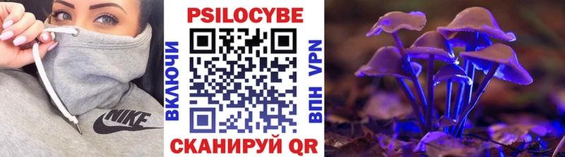 Псилоцибиновые грибы GOLDEN TEACHER  Аткарск 