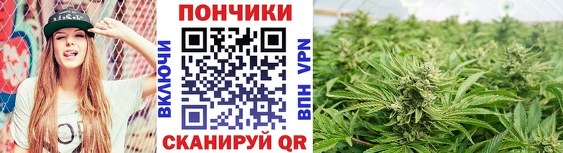 Марихуана планчик  Аткарск 